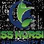blissnursing