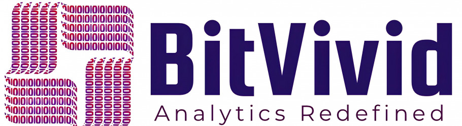 bitvividsolutions