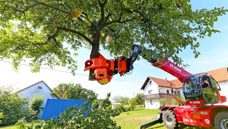 Don’t Wait—Emergency Tree Removal Services Are Just a Call Away