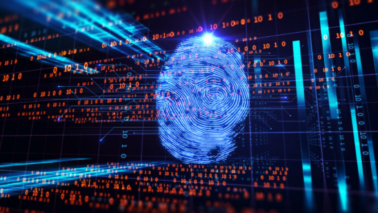 Biometrics in Government Market Dynamics: Share, Trends, and Growth Forecast from 2025 to 2032