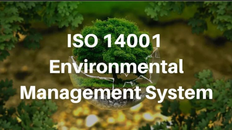 Why Choose ISO 14001 Consultancy in UAE for EMS Certification?