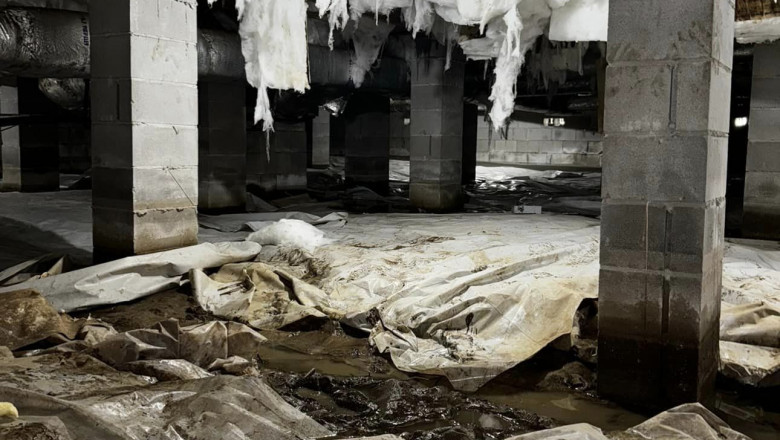 Improve Home Health with Trusted Crawl Space Repair