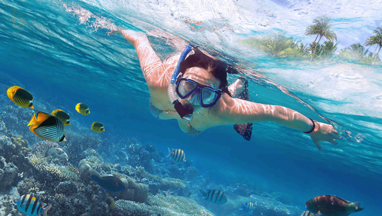 Dive Into Adventure: Scuba Diving with Water Sports in Goa by Thrillania
