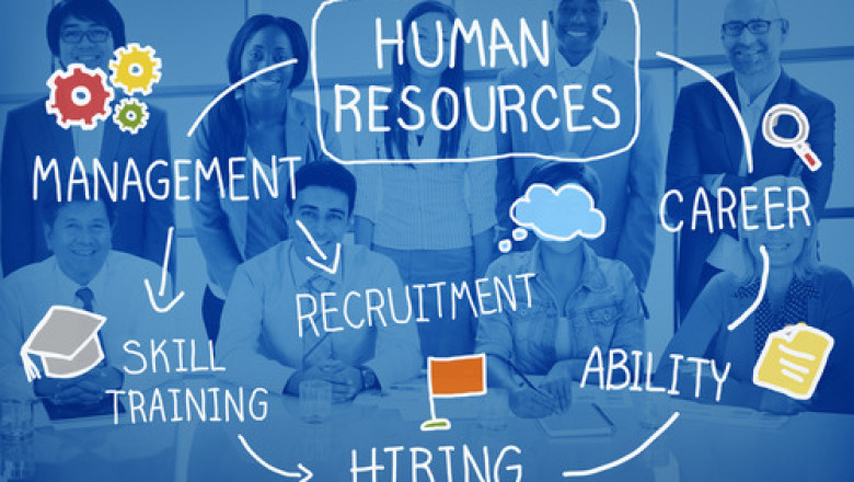 How Fractional HR Services and Strategic Planning Empower Small Businesses to Grow Smarter