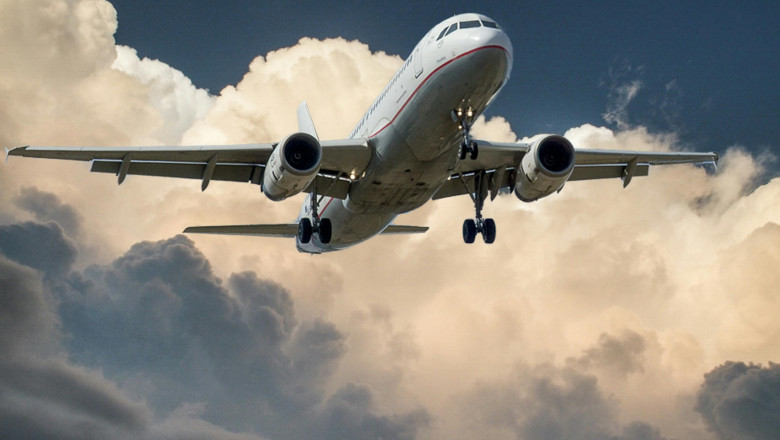 airlines offices experts