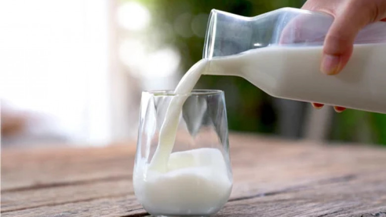 Buffalo Milk Side Effects: What You Need to Know