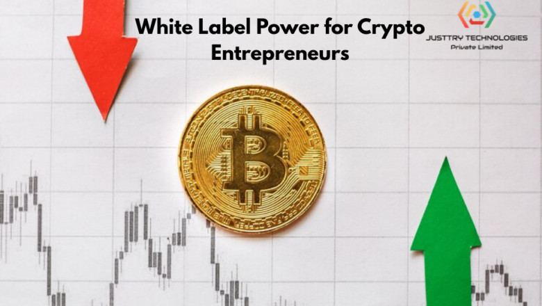 How Does White Label Crypto Exchange Software Help Crypto Entrepreneurs?