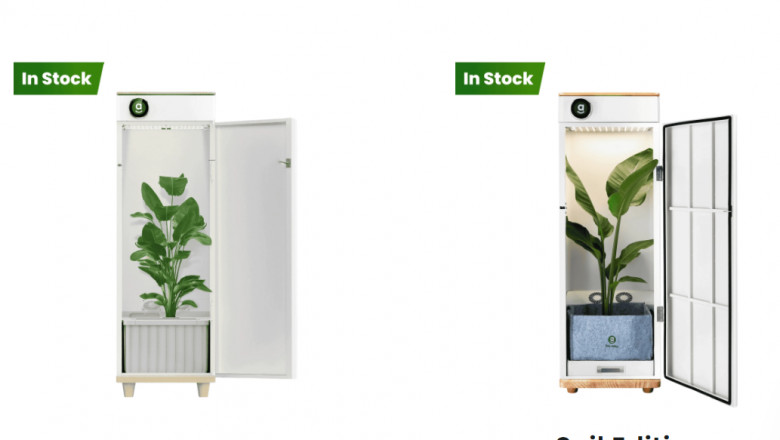 The Best Smart Grow Box in 2024? Hey Abby OG Review & Breakdown