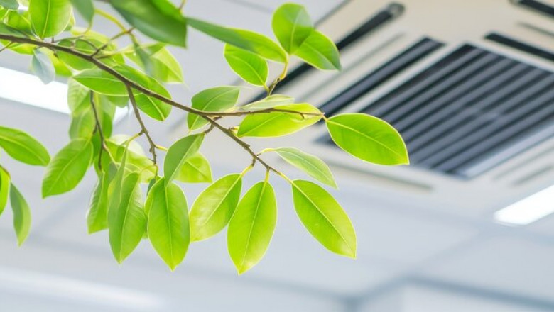 How Plumbing Problems Affect Indoor Air Quality