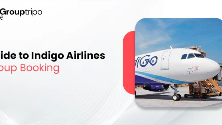 What Is the Process for Indigo Airlines Group Booking Cancellation?