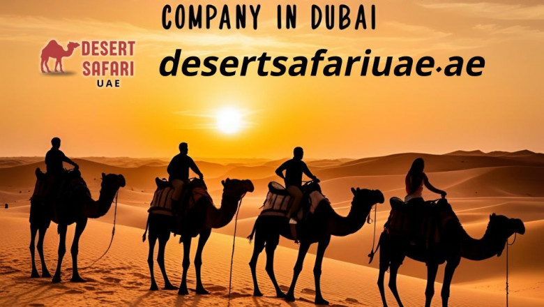 Experience Thrilling with Desert Safari UAE Adventures and City Tours