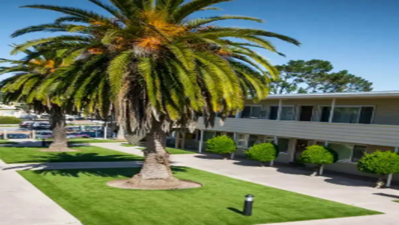 Maintenance Tips for Artificial Turf: Keeping Your Lawn Green Year-Round