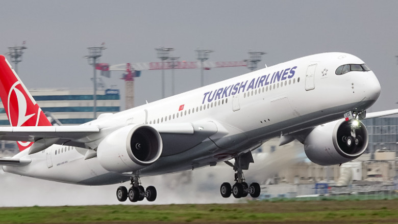 A Traveler’s Guide to the JFK Turkish Airlines Terminal: What to Expect Before You Fly