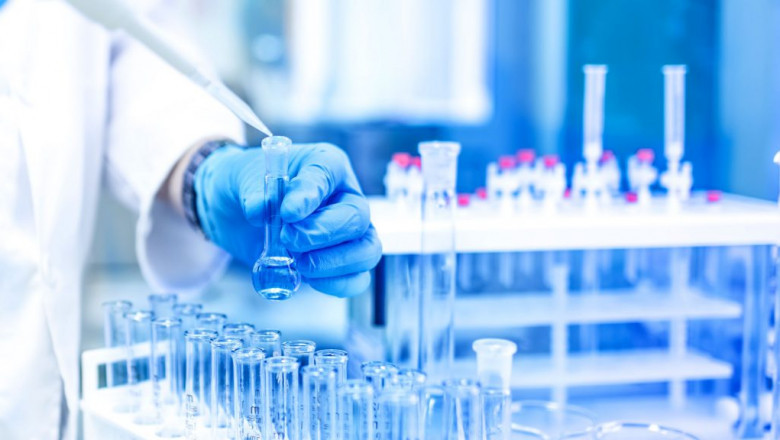 Vitamin D Ingredients Market Set to Surge with Biofortification Technology