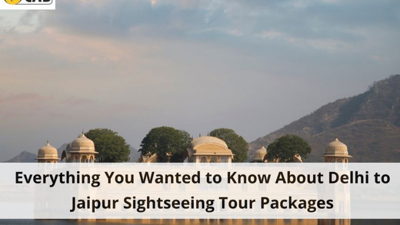 Everything You Wanted to Know About Delhi to Jaipur Sightseeing Tour Packages