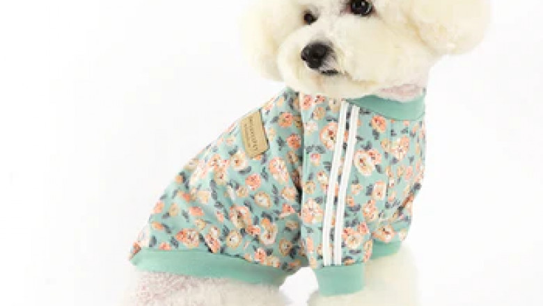 How to Choose the Right Pet Wear from a Reliable Pet Supplies Store