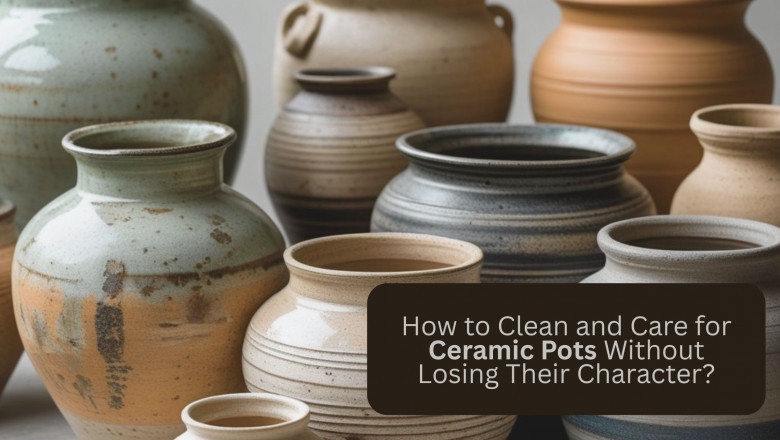 How to Clean and Care for Ceramic Pots Without Losing Their Character?
