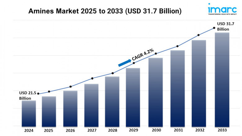 Amines Market Size, Share, Trends, Growth, and Forecast 2025-2033
