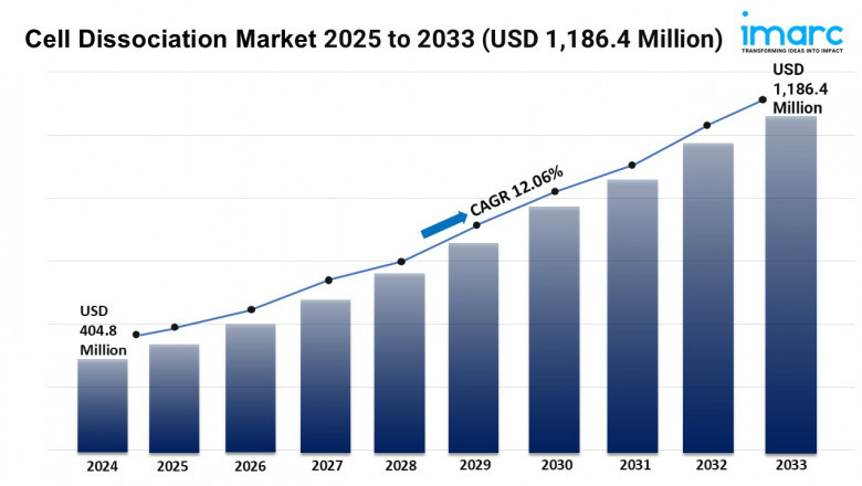 Cell Dissociation Market Size, Share, Growth, and Trends Report 2025-2033