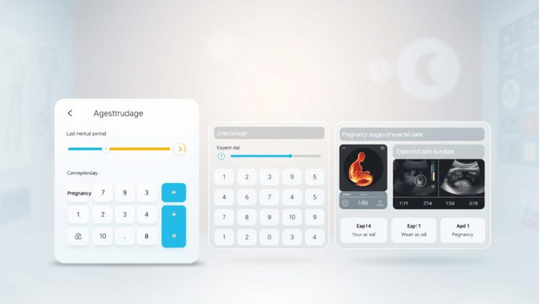 Pregnancy Weight Gain Calculator