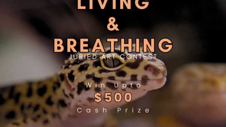 Paws, Paints and Possibilities: Submit Your Zoo Art Today & Win Exciting Rewards