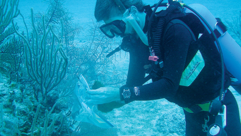 Marine Biotechnology Market to Surge with Genomic Innovations