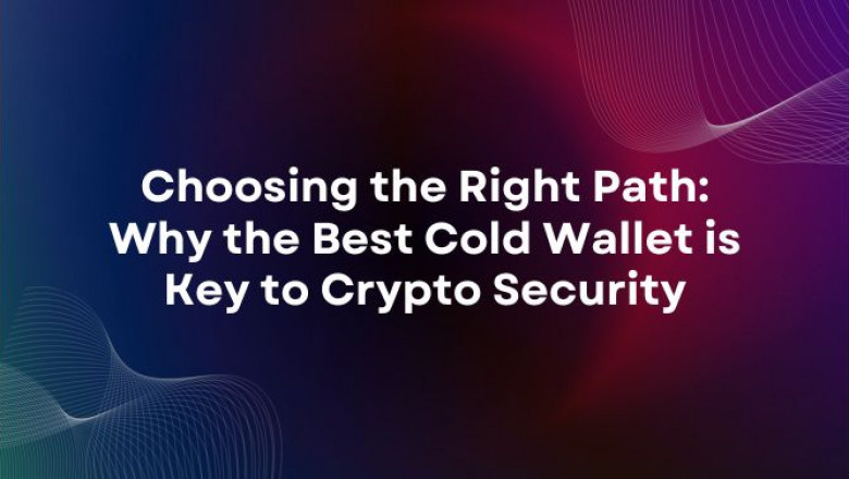 Choosing the Right Path: Why the Best Cold Wallet is Key to Crypto Security