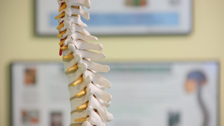 Disability Benefits and Support for SCI Patients