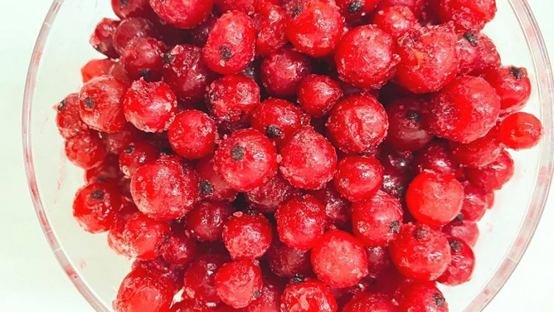 Prefeasibility Report on a Currant Processing Plant Project Setup Cost and Expenses