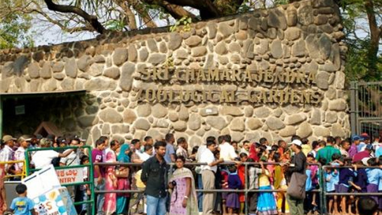 Discover the Wonders of Wildlife at Mysore Zoo Park