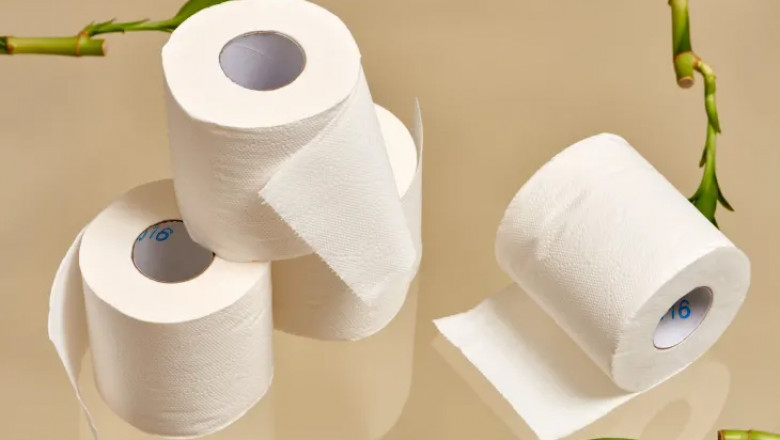 Bamboo Paper Manufacturing Plant Cost 2025: Machinery and Raw Materials Requirement