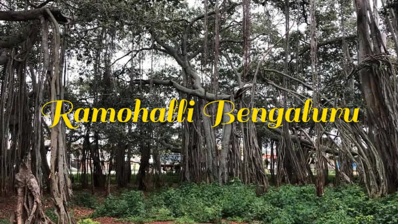 Real Estate Trends Near Ramohalli, Bengaluru in 2025