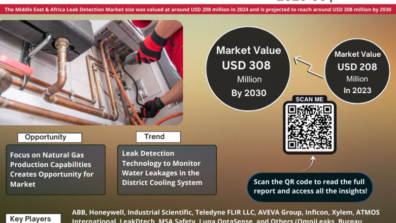 Middle East &amp; Africa Leak Detection Market Insights: Size, Trends &amp; Forecast 2025-2030