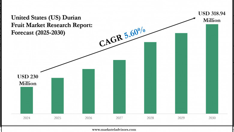 United States (US) Durian Fruit Industry to Surpass USD 318.94 Million by 2030 | CAGR Projected at 5.60%