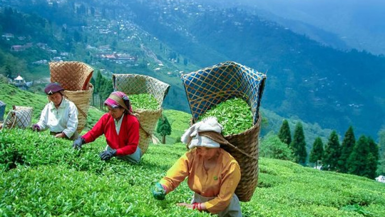 Experience the Best Sikkim Tour Package from Chennai in 2025