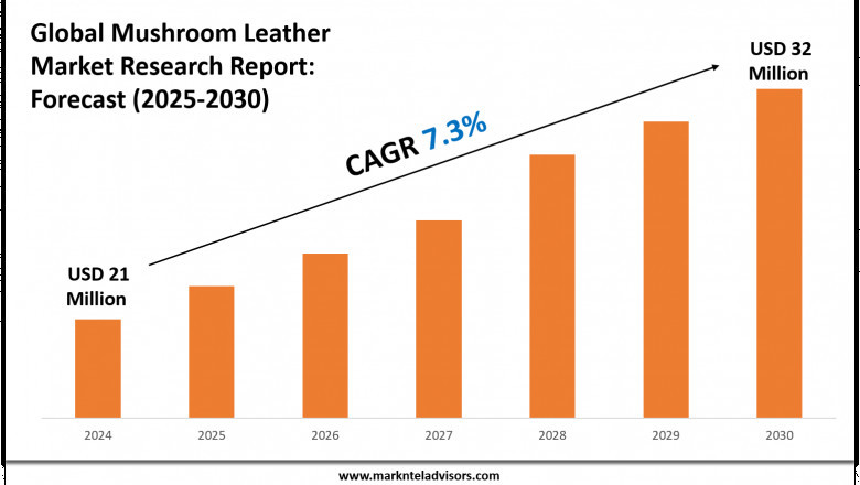 Mushroom Leather Market Forecast: Growth Drivers & Outlook to 2030