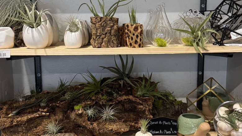 What to Look for in a Flower Shop in Pittsburgh, PA