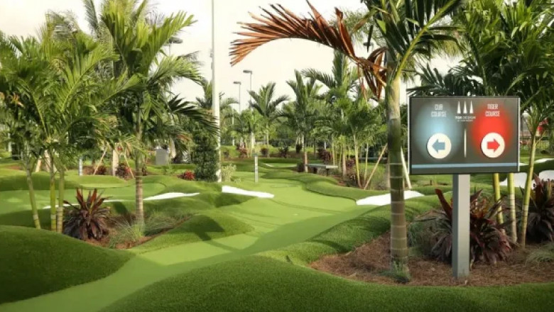 The Impact of Artificial Turf on Local Ecosystems and Biodiversity