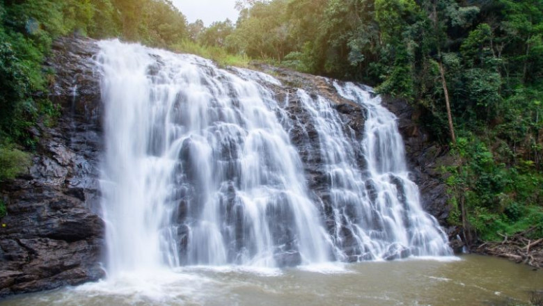 Abbey Falls Timings: Know Visiting Hours Before You Travel