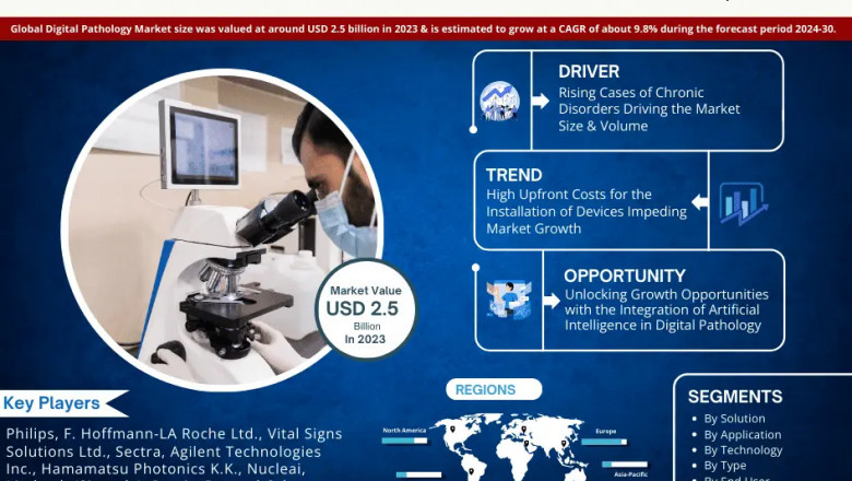 Digital Pathology Market Insights 2024–2030: Value, Share & Analysis