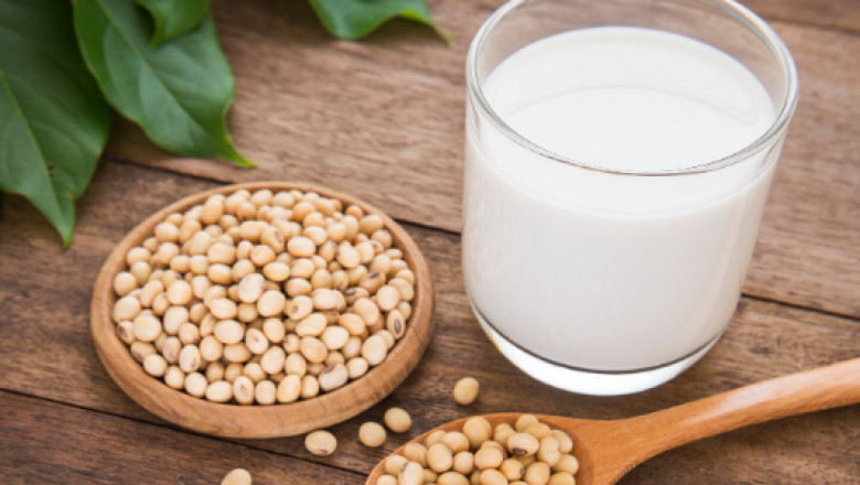 Setup Report on Soya Milk Manufacturing Plant