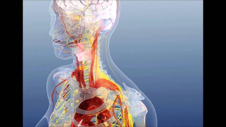 Bioelectric Medicine Market Is Estimated to Witness High Growth