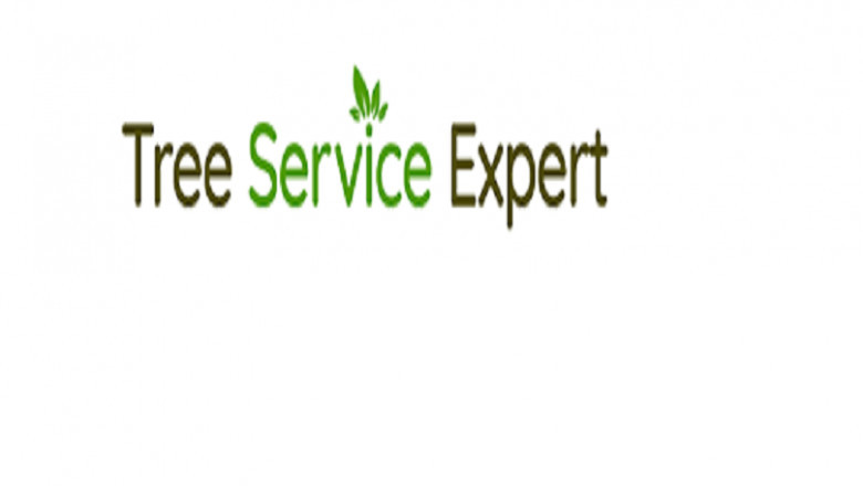 Tree Care Brick NJ