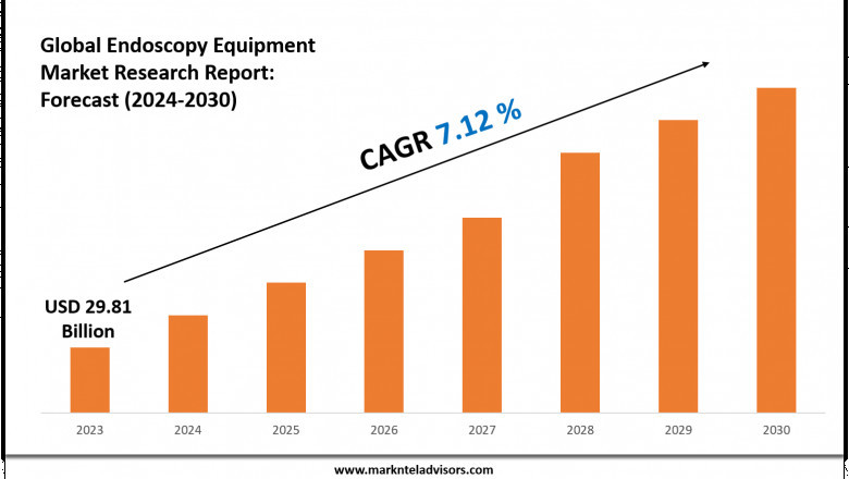 Endoscopy Equipment Market Insights 2024–2030: Value, Share &amp; Analysis