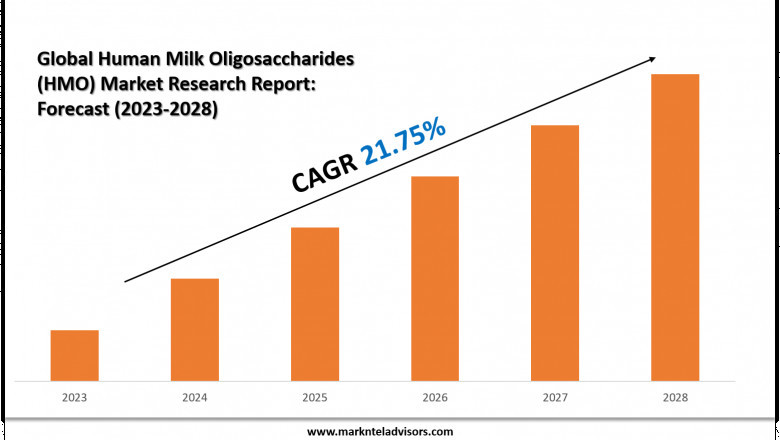 Top Companies in the Human Milk Oligosaccharides (HMO) Industry – Market Leaders: Medolac Laboratories, Nestle Health Science