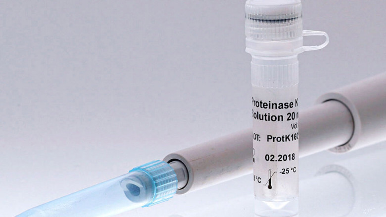 Proteinase K Market Growth, Trends, and Strategic Insights to 2032