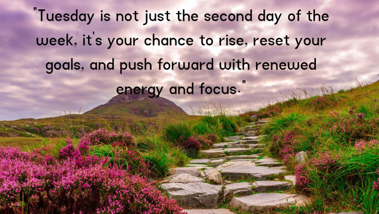Best Wednesday Motivational Quotes to Power Through the Week
