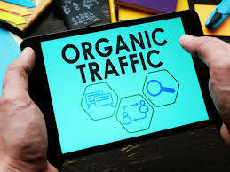 What Is Organic Traffic? Definition + ...