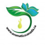 Aromaticscanadainc