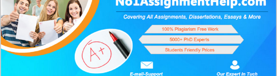 no1assignmenthelp